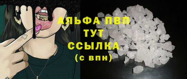 ПСИЛОЦИБИНОВЫЕ ГРИБЫ Гусев