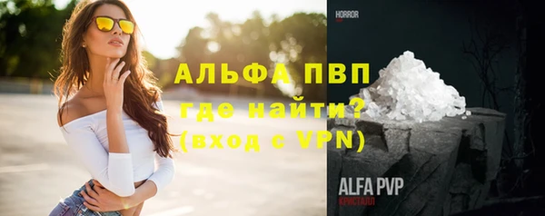 ПСИЛОЦИБИНОВЫЕ ГРИБЫ Гусев
