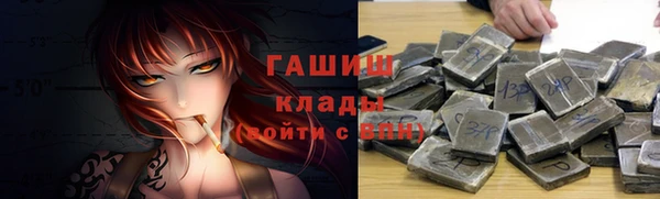 ПСИЛОЦИБИНОВЫЕ ГРИБЫ Гусев