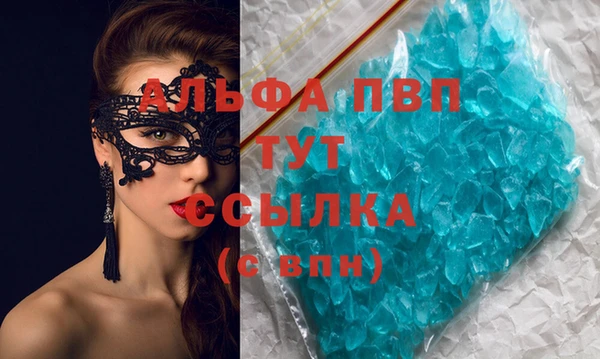 ПСИЛОЦИБИНОВЫЕ ГРИБЫ Гусев