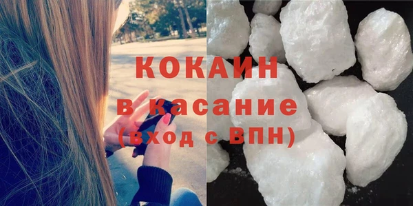 ПСИЛОЦИБИНОВЫЕ ГРИБЫ Гусев