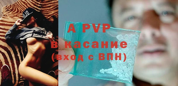 ПСИЛОЦИБИНОВЫЕ ГРИБЫ Гусев