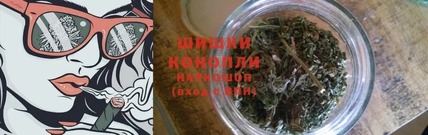 ПСИЛОЦИБИНОВЫЕ ГРИБЫ Гусев