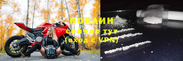 ПСИЛОЦИБИНОВЫЕ ГРИБЫ Гусев
