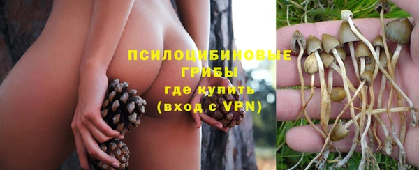 ПСИЛОЦИБИНОВЫЕ ГРИБЫ Гусев