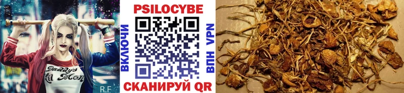 Галлюциногенные грибы прущие грибы  blacksprut ONION  Архангельск  купить наркоту 